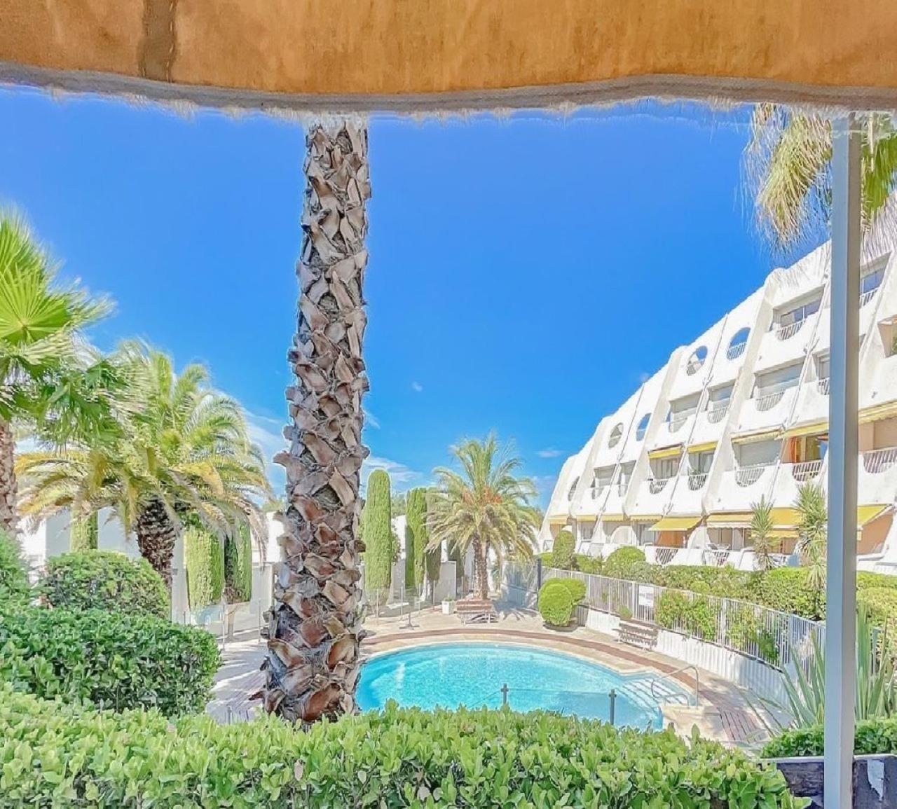 Appartement Le Soupir Des Palmiers. Idéal Couple, Piscine,